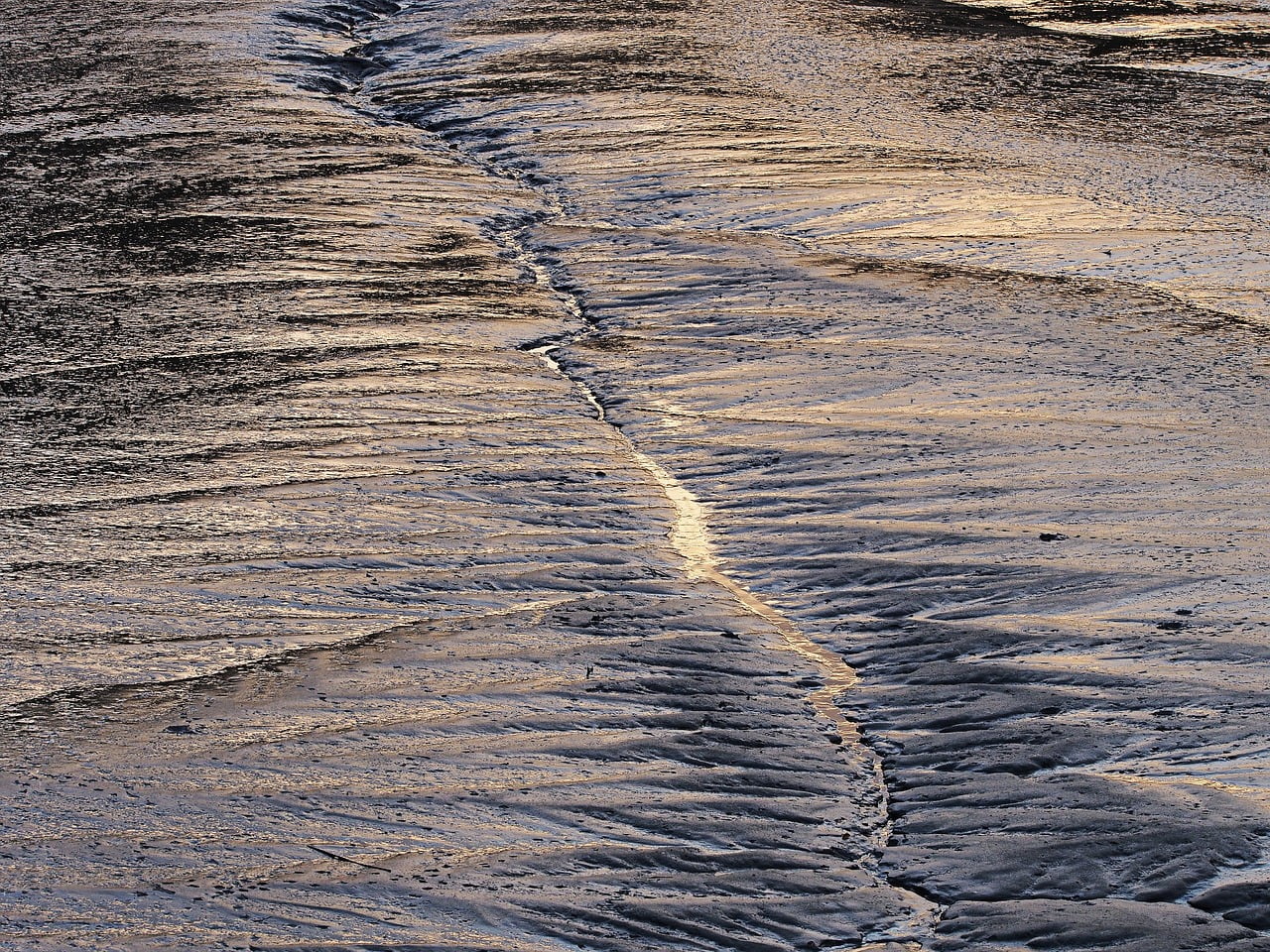 dream meaning Silt