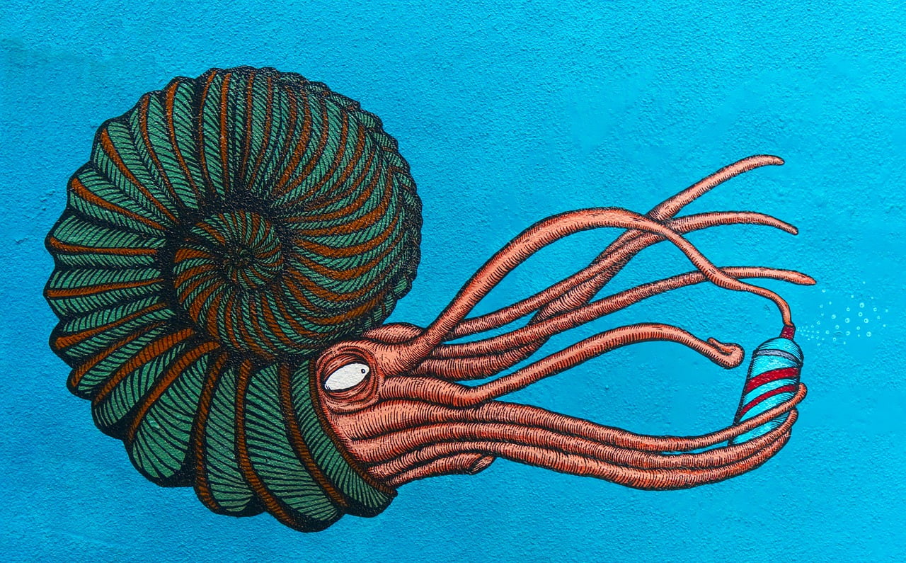 dream meaning Siphon