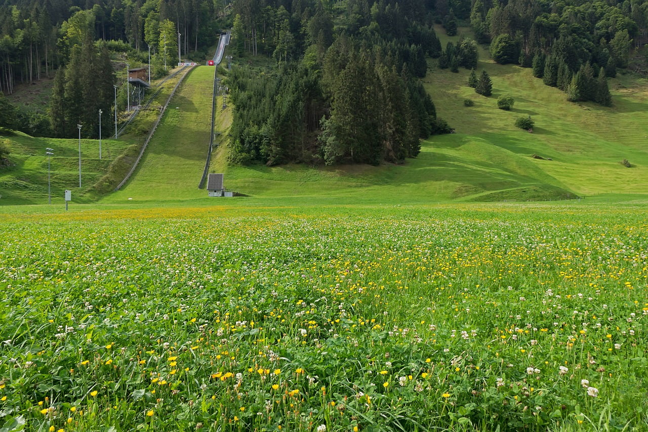 dream meaning Ski jump