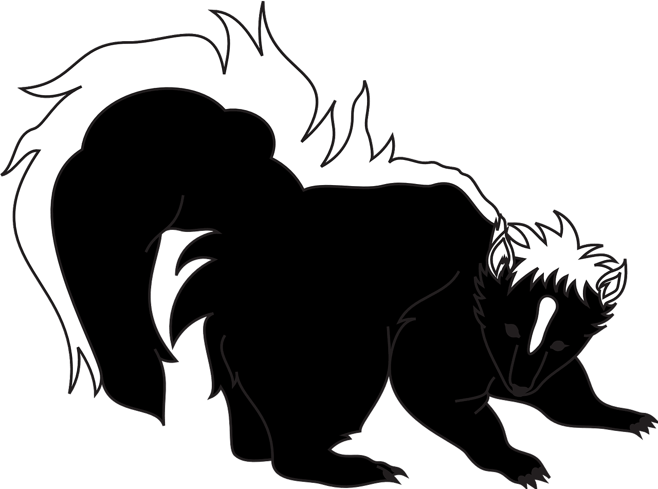 dream meaning Skunk