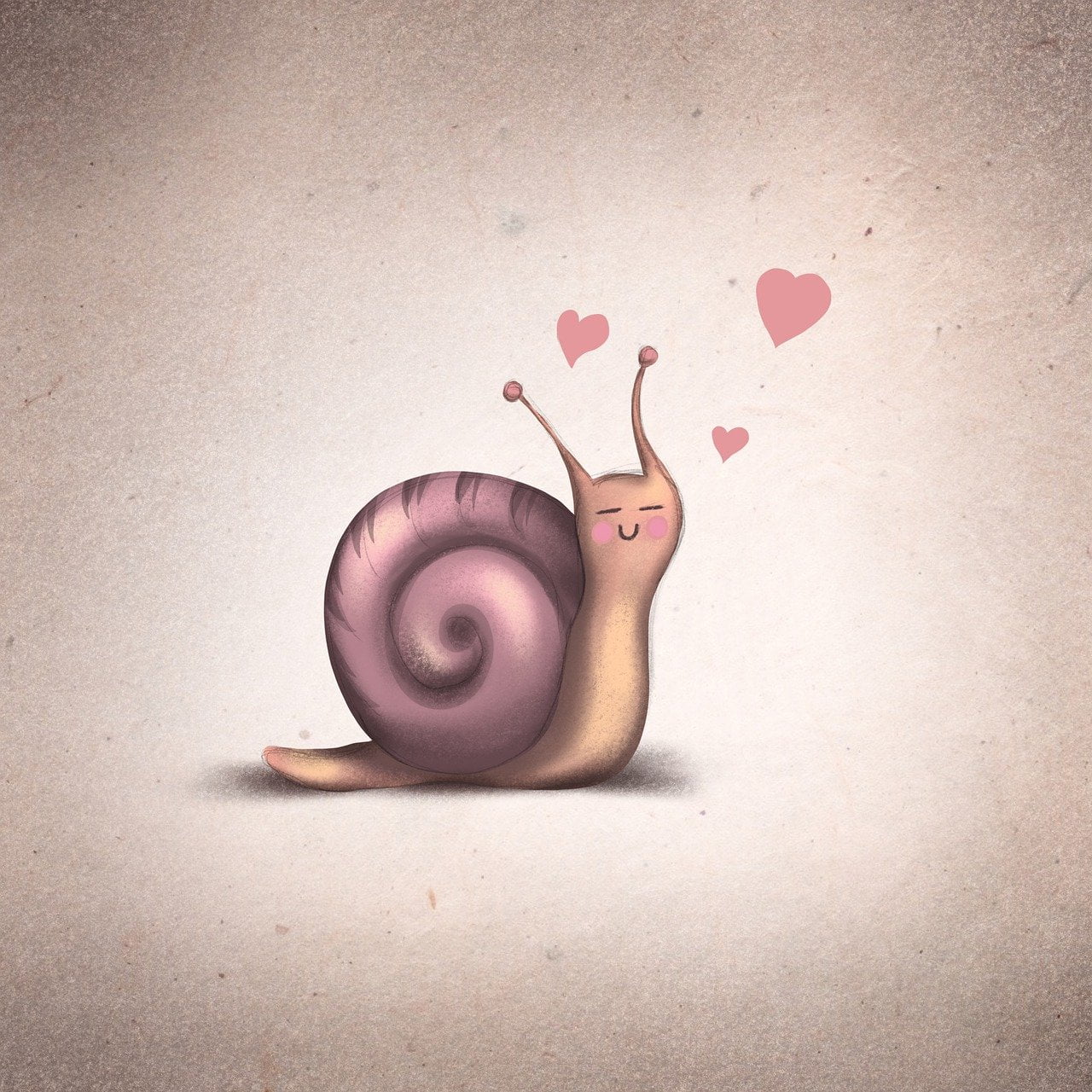 dream meaning Snail