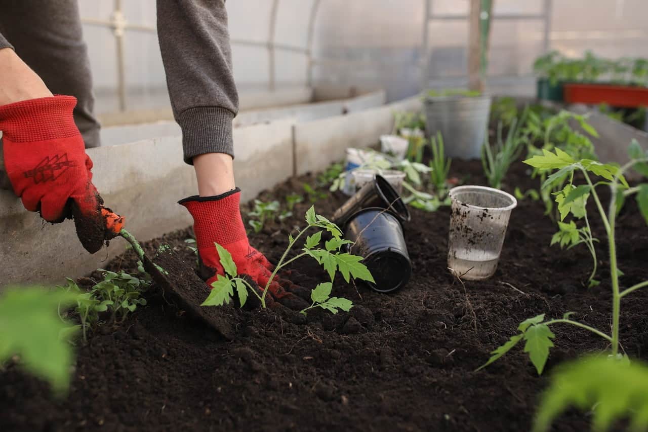 dream meaning Soil