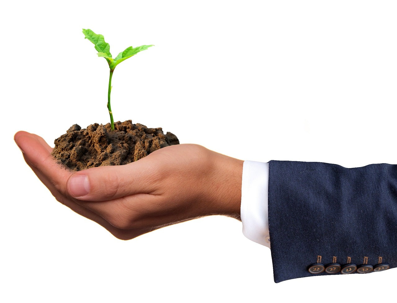 dream meaning Sowing