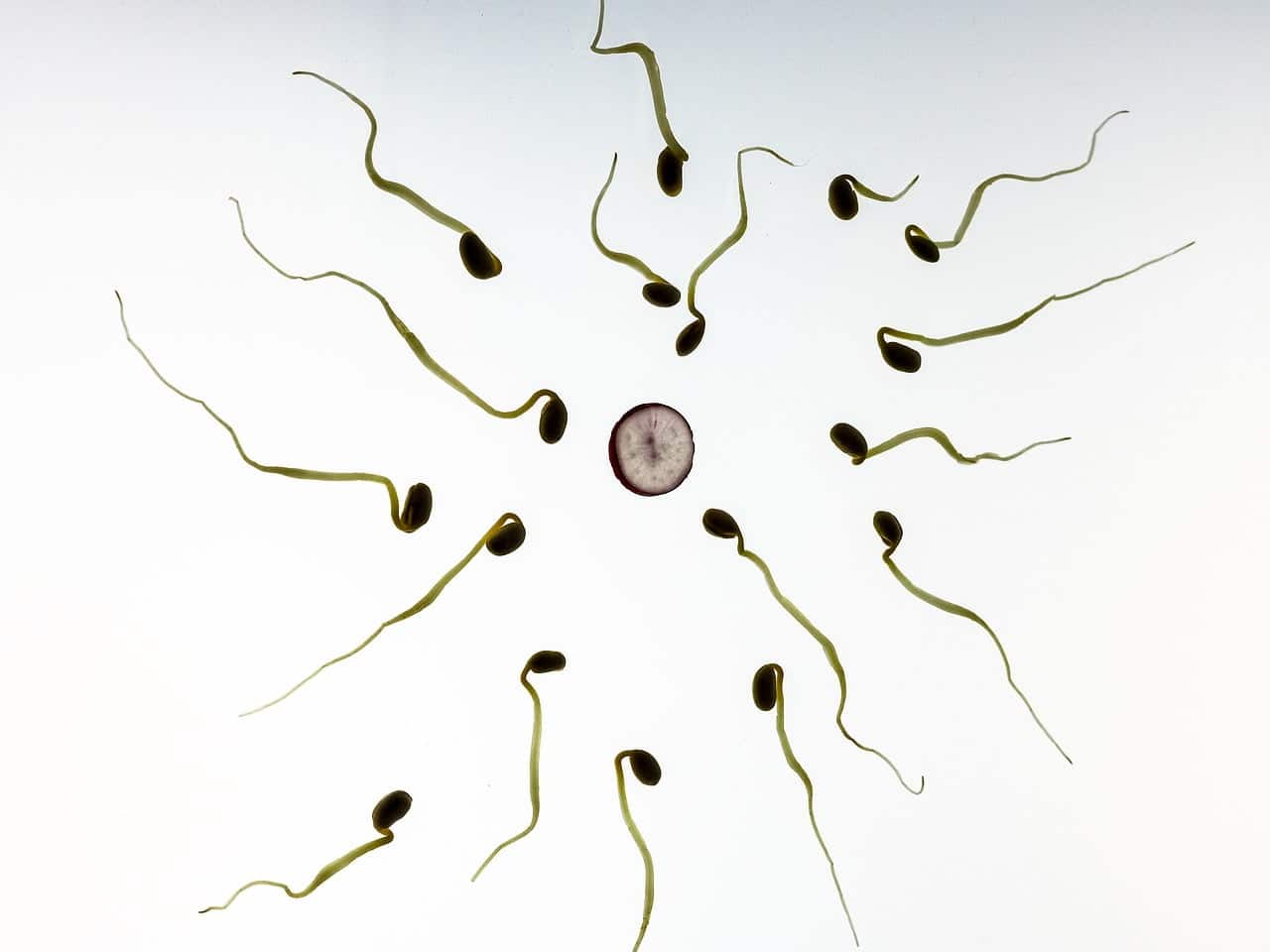 dream meaning Sperm