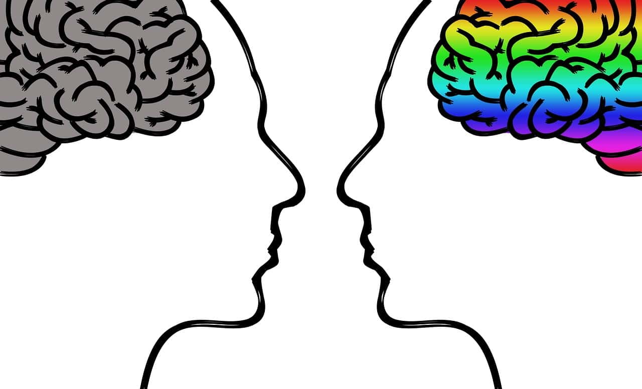 dream meaning Split personality
