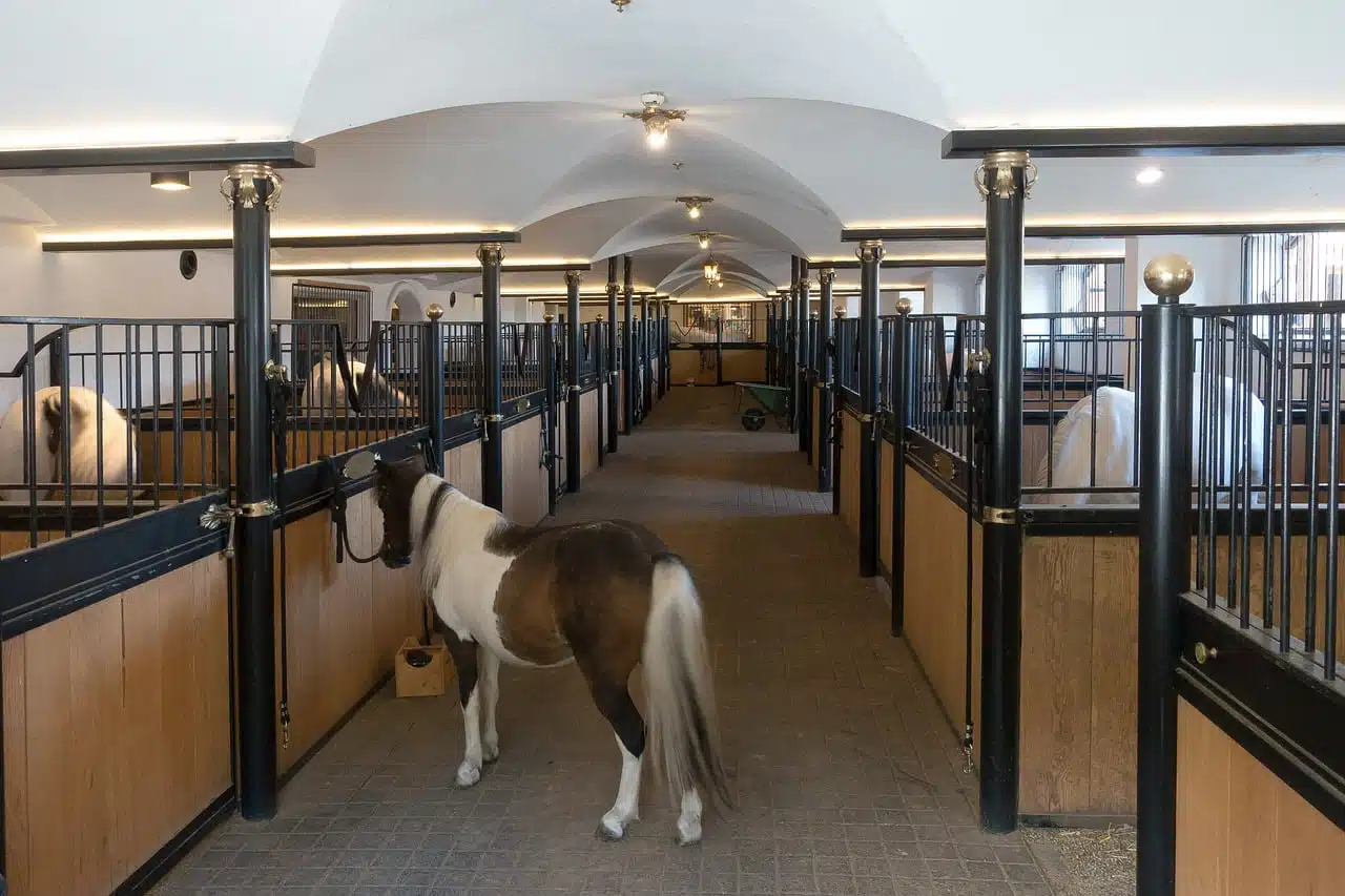 dream meaning Stable