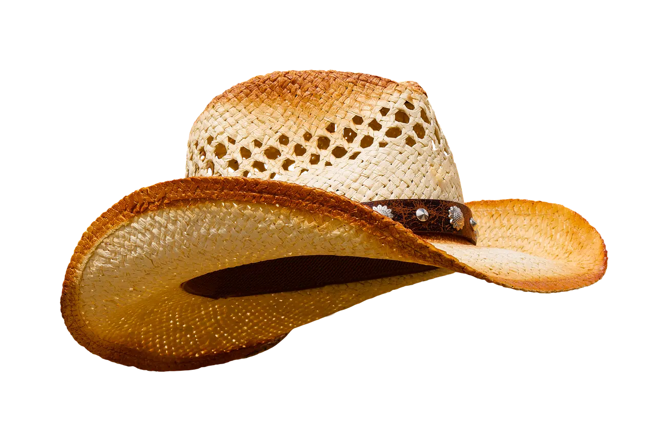 dream meaning Straw hat