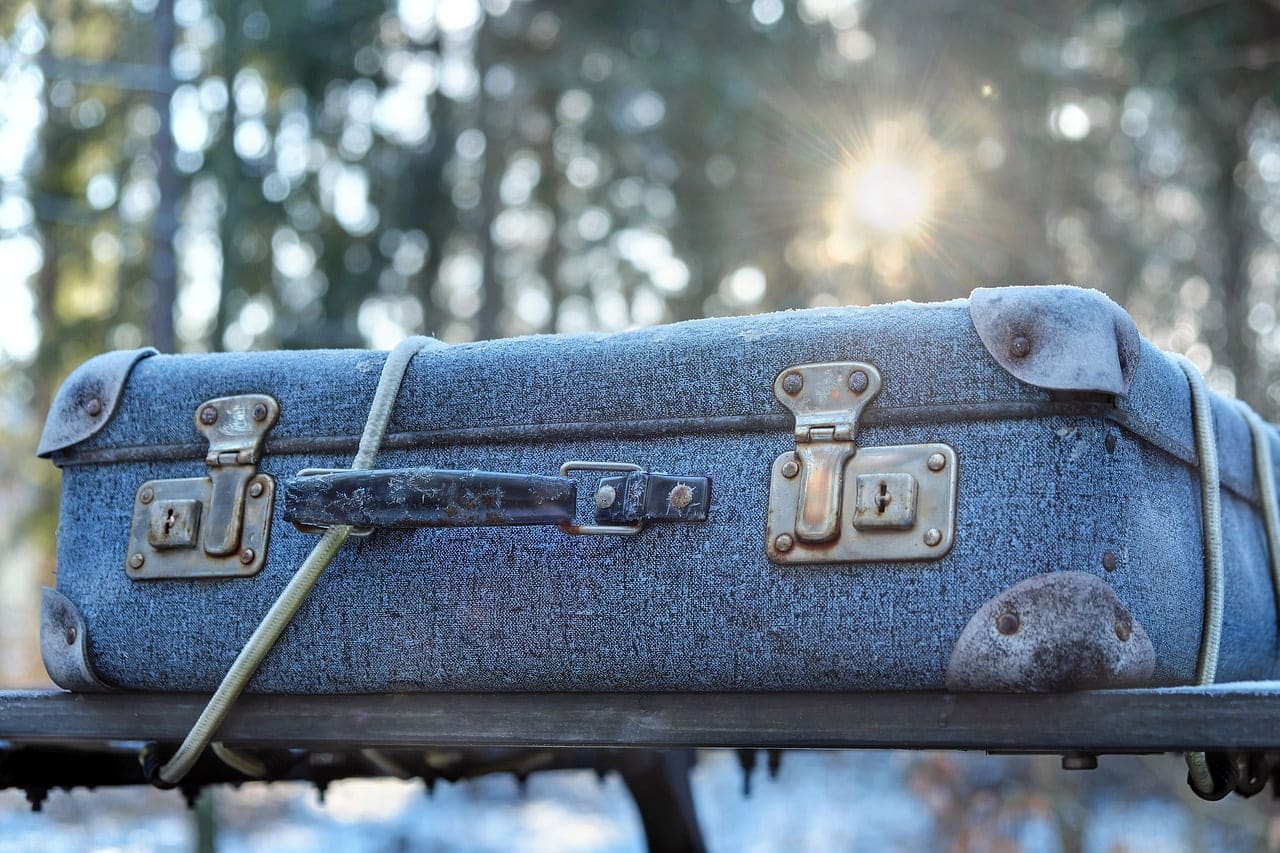 dream meaning Suitcase