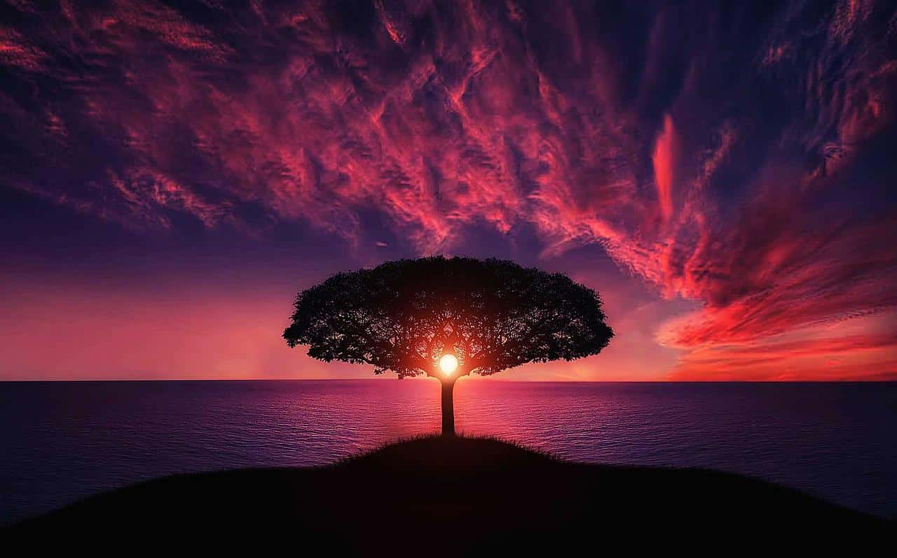 dream meaning Sun