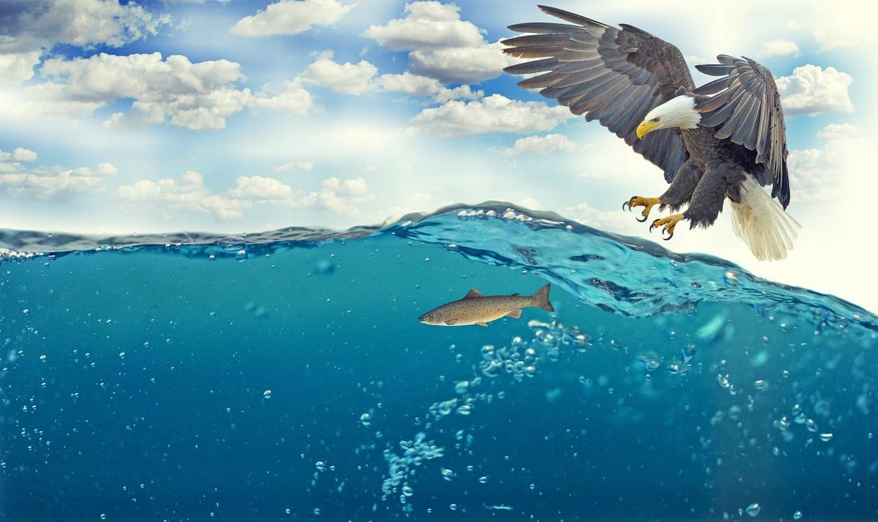 dream meaning Swim