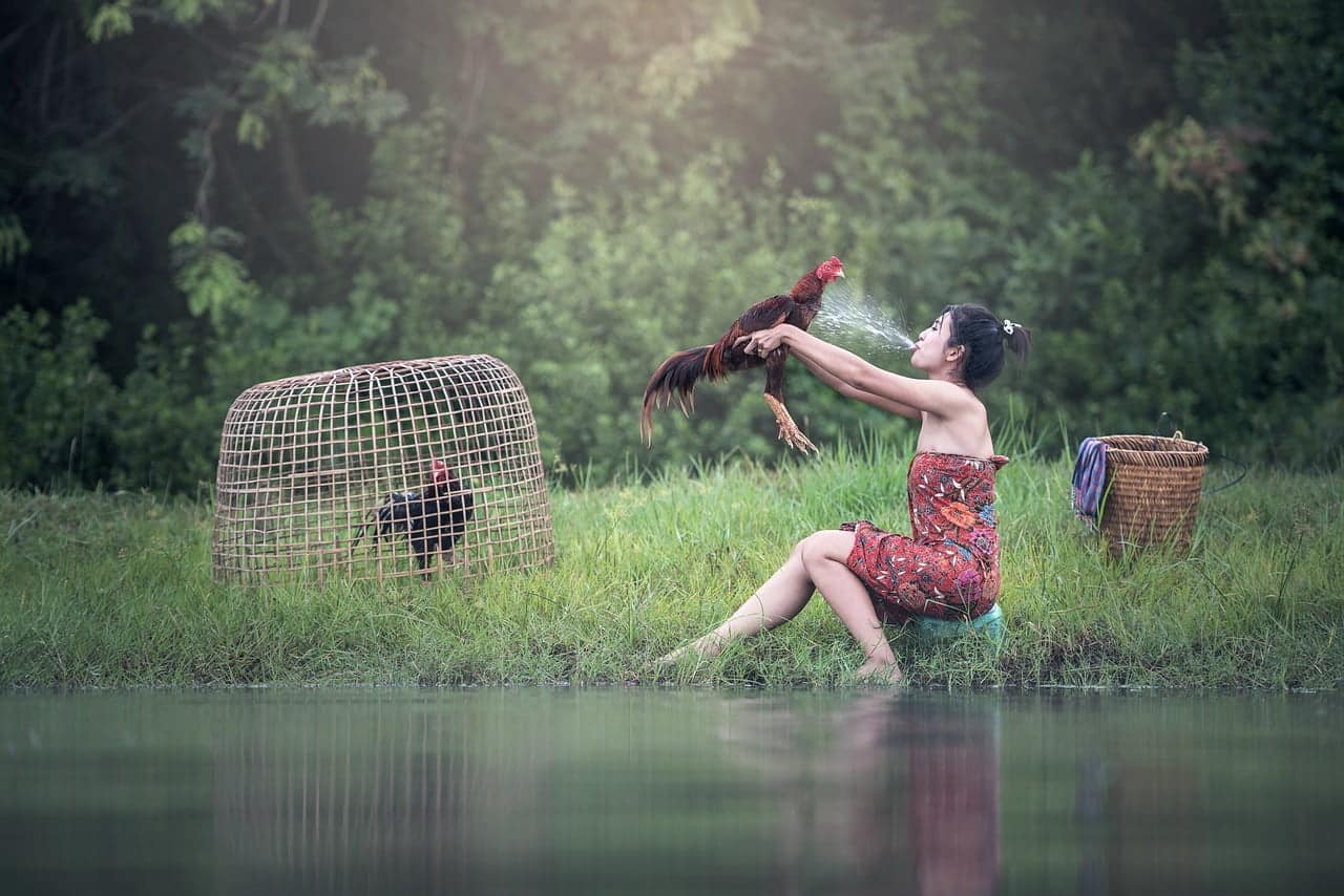 dream meaning Taking A Bath