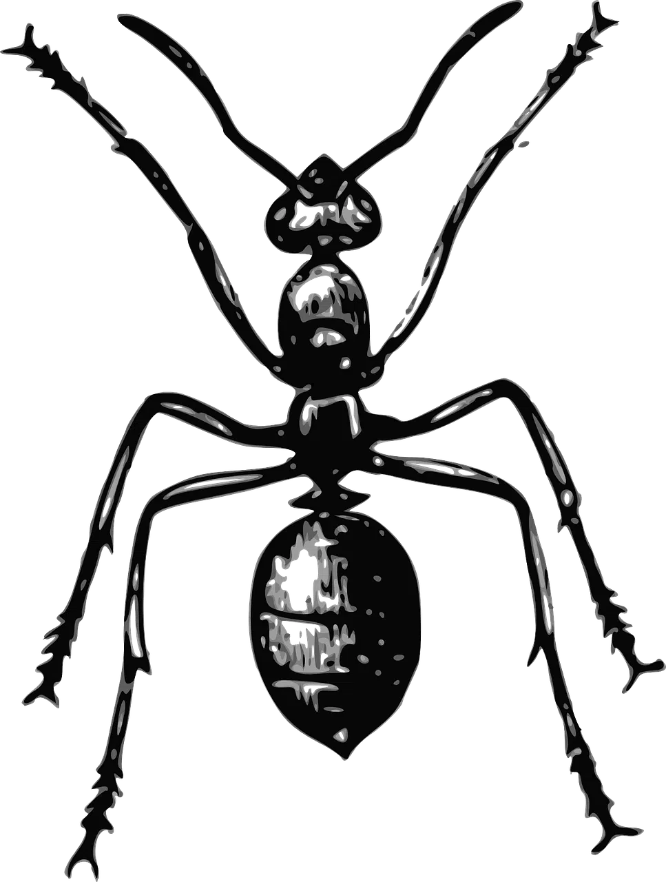 dream meaning Termite