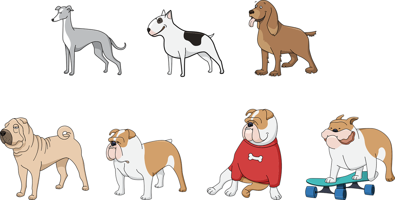 dream meaning Terrier