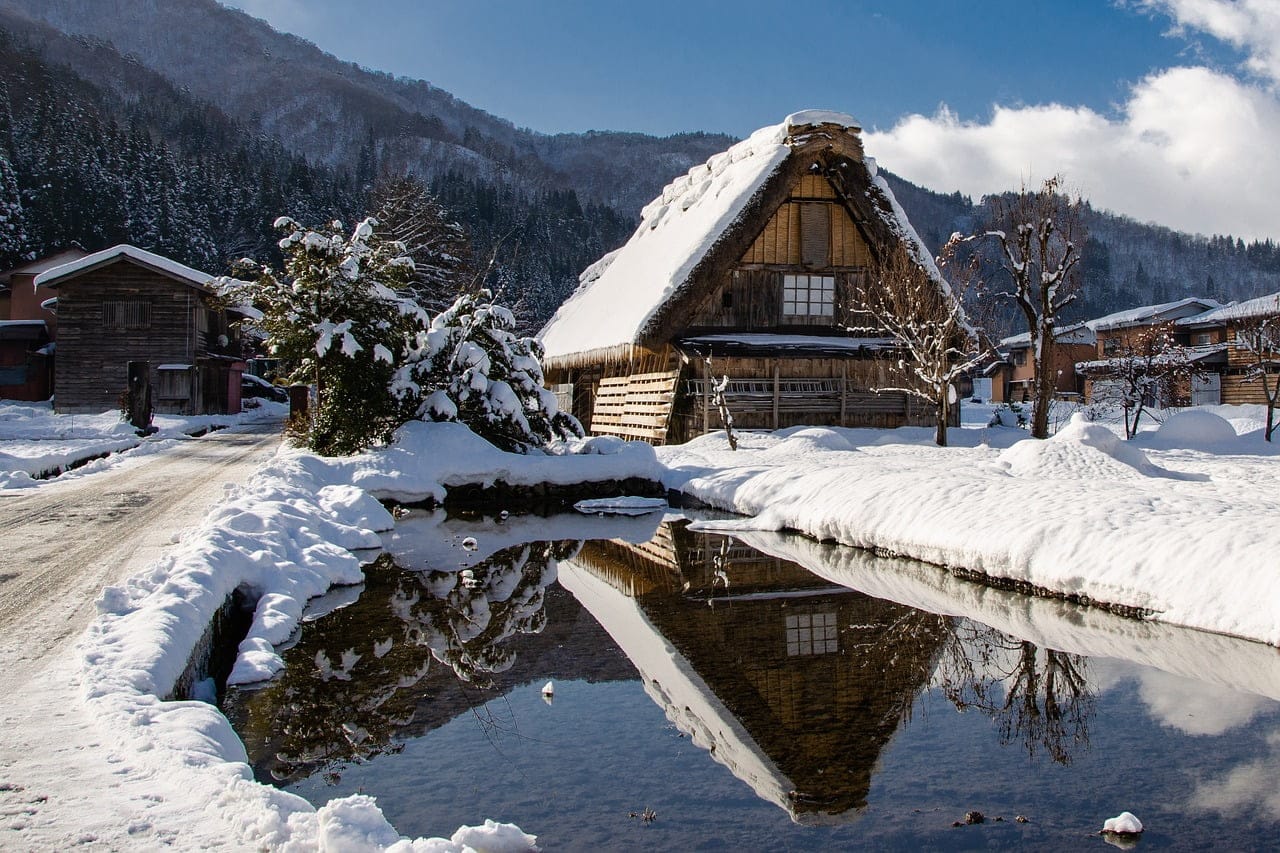 dream meaning Thatch