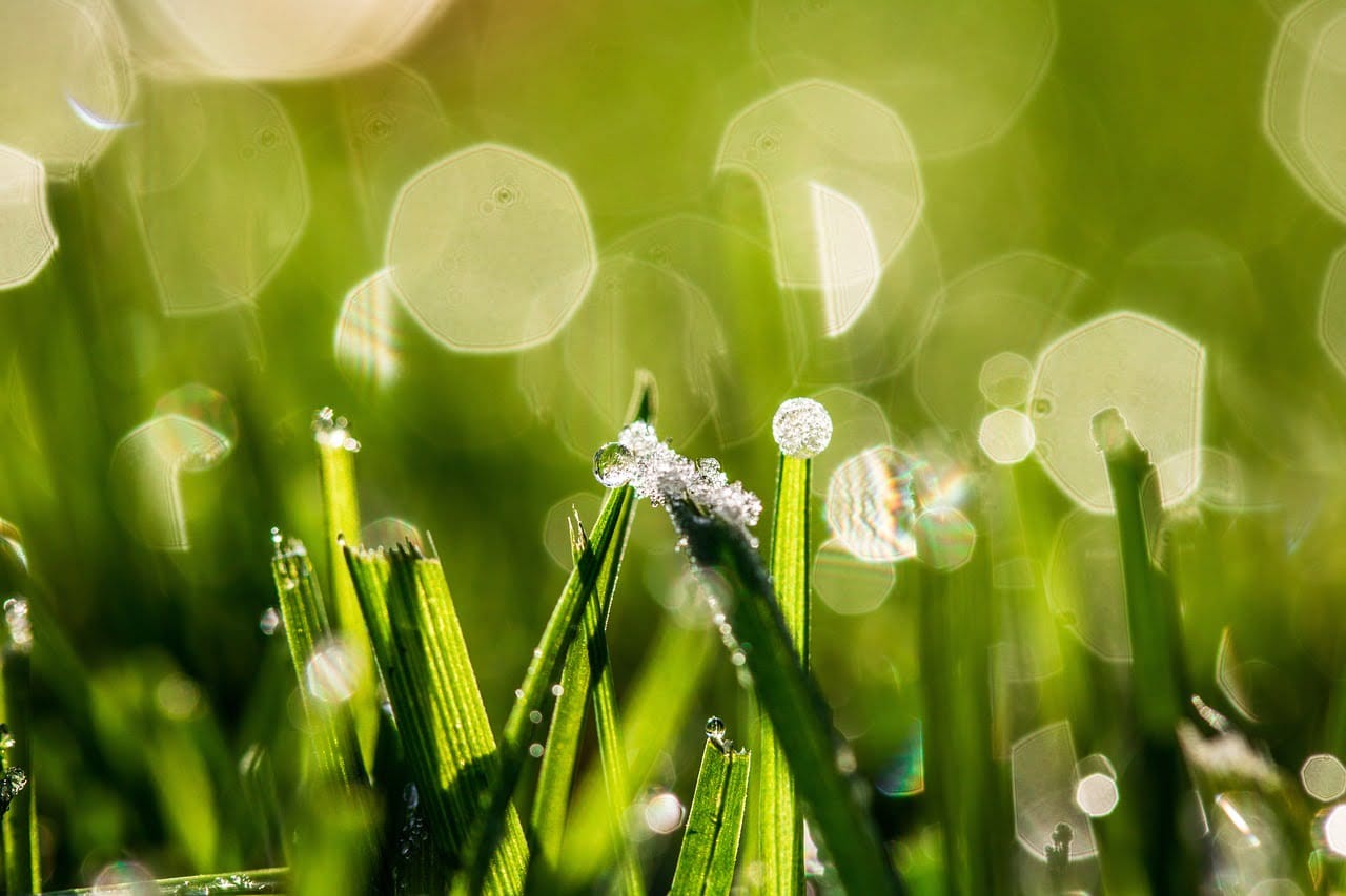 dream meaning Thaw