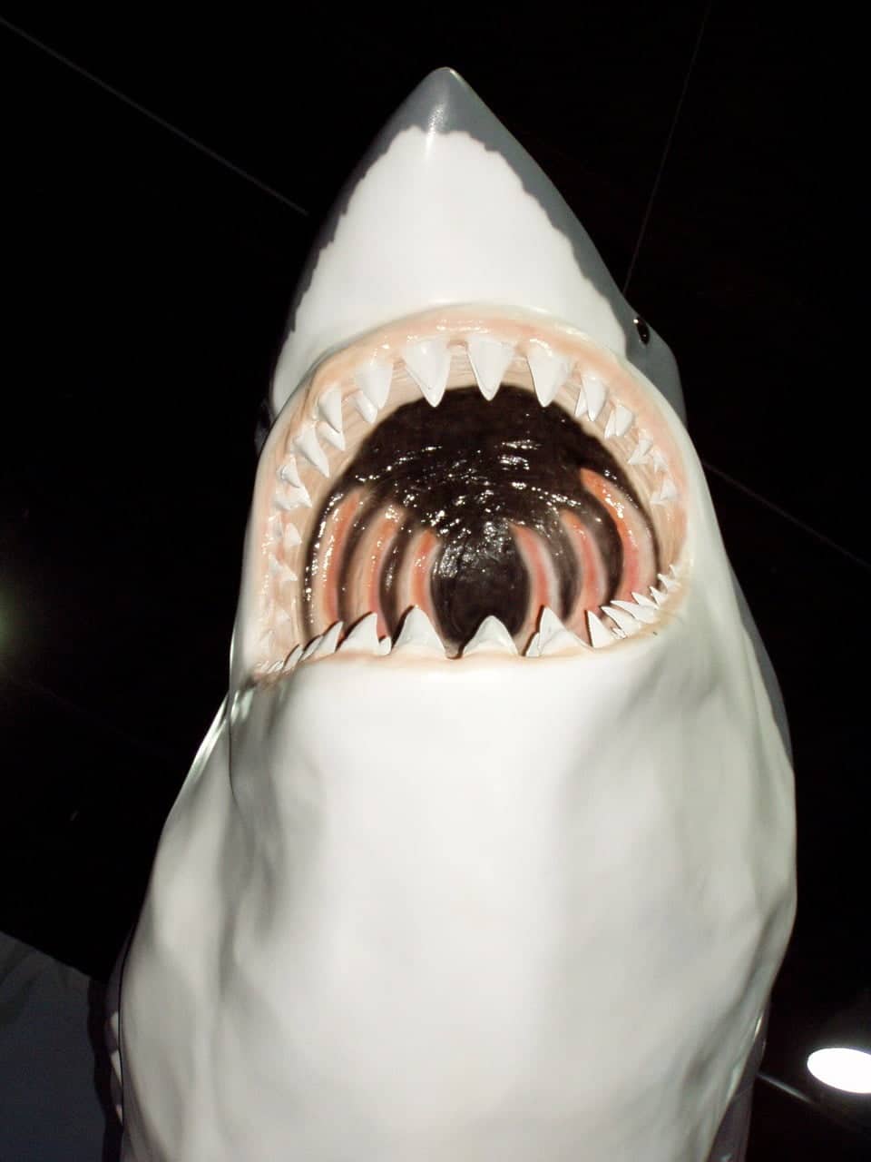dream meaning Throat (jaws)
