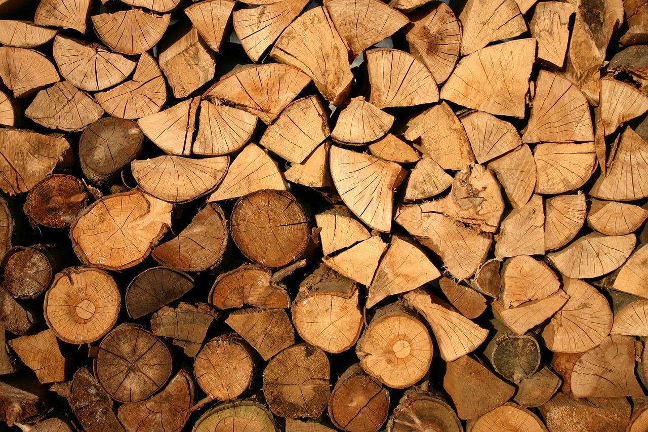 dream meaning Timber