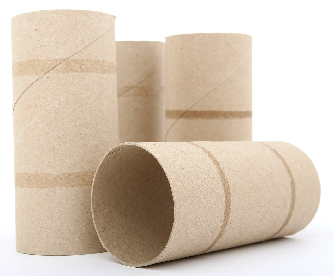 dream meaning Toilet paper