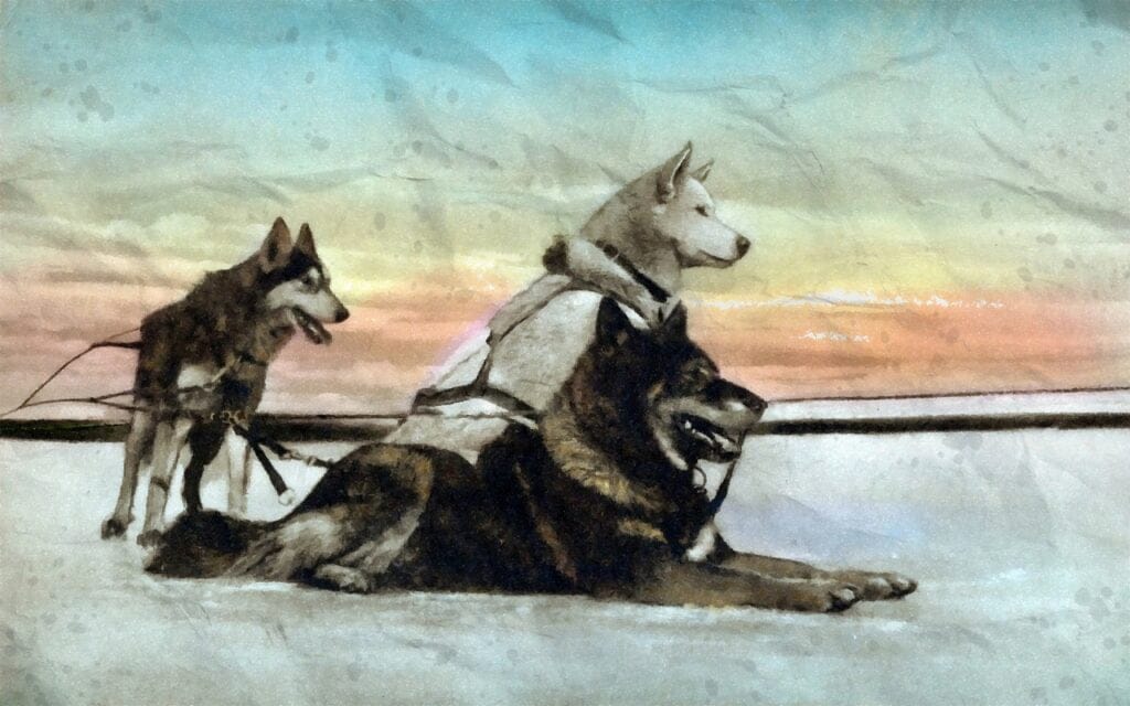 Travelling companion Dream Dictionary Travelling companion Dream meaning