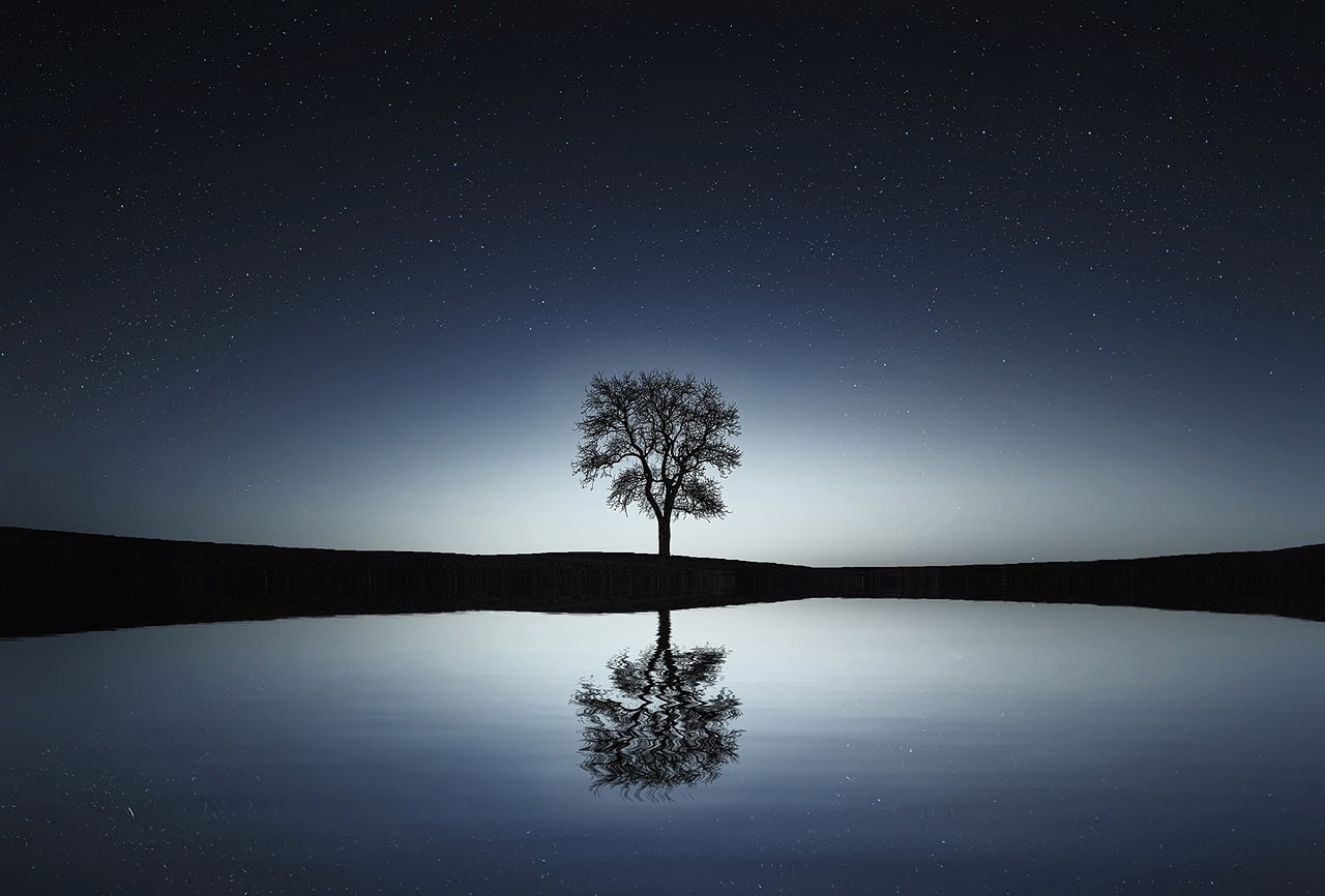 dream meaning Tree