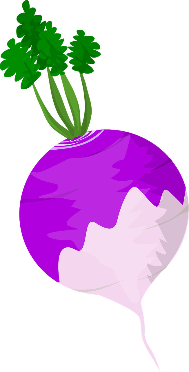 dream meaning Turnip
