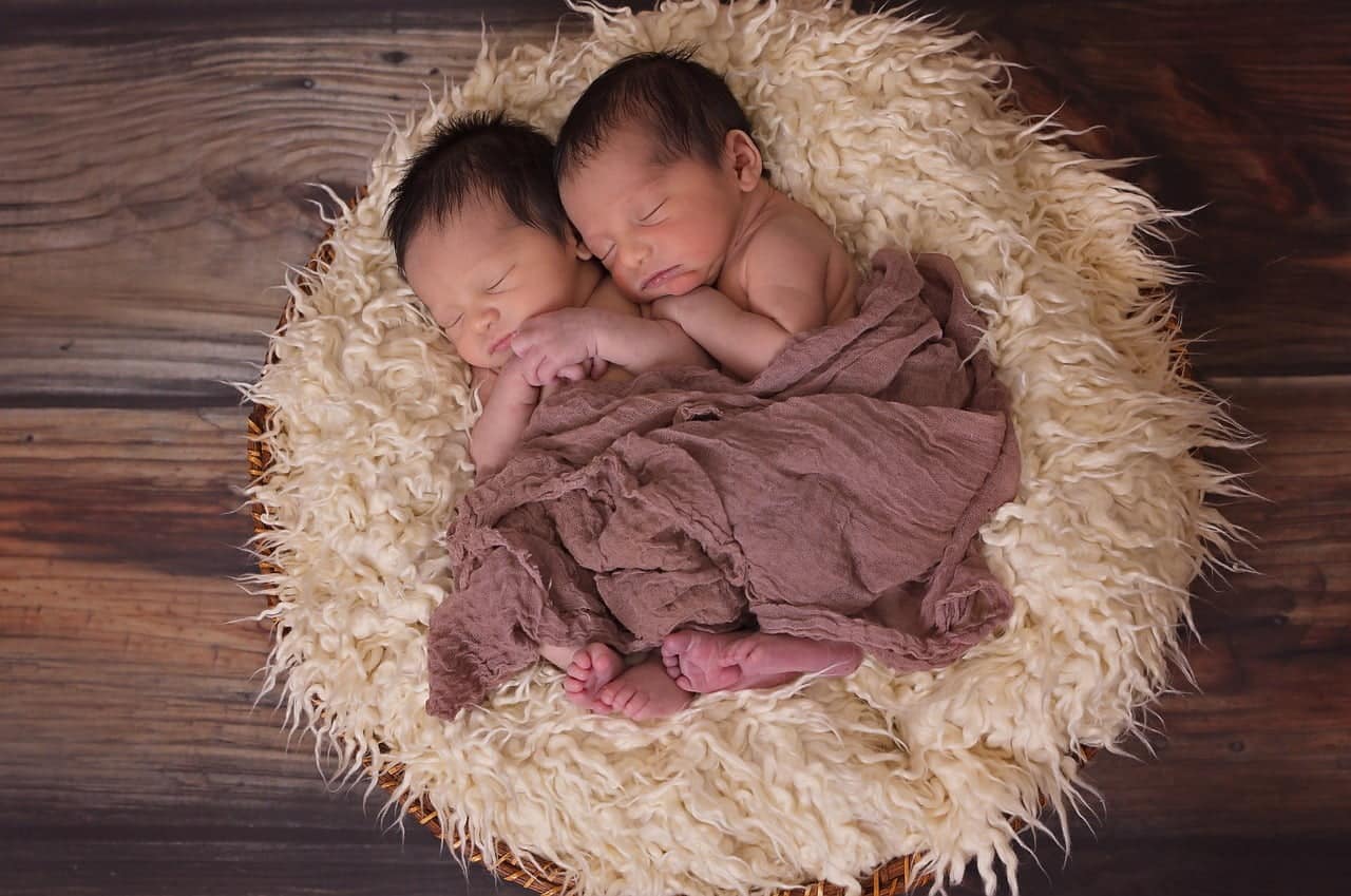 dream meaning Twins