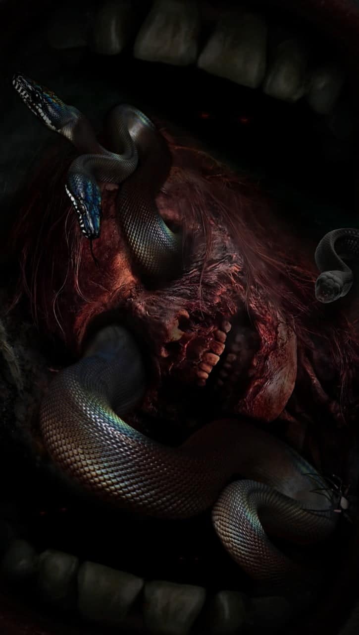 dream meaning Two Headed Snake