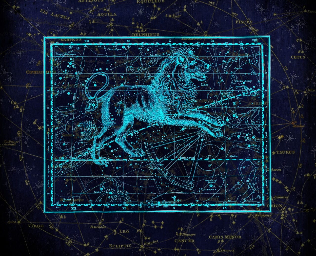 dream meaning USG