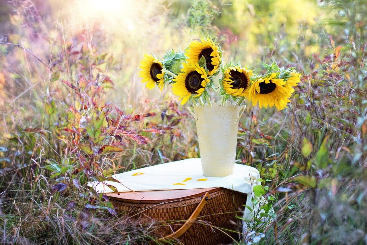 dream meaning Vase
