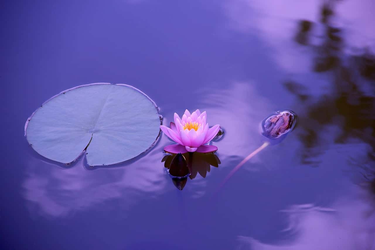 dream meaning Water