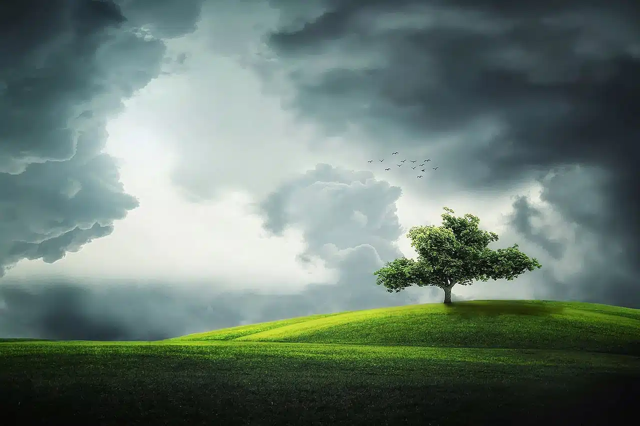 dream meaning Weather