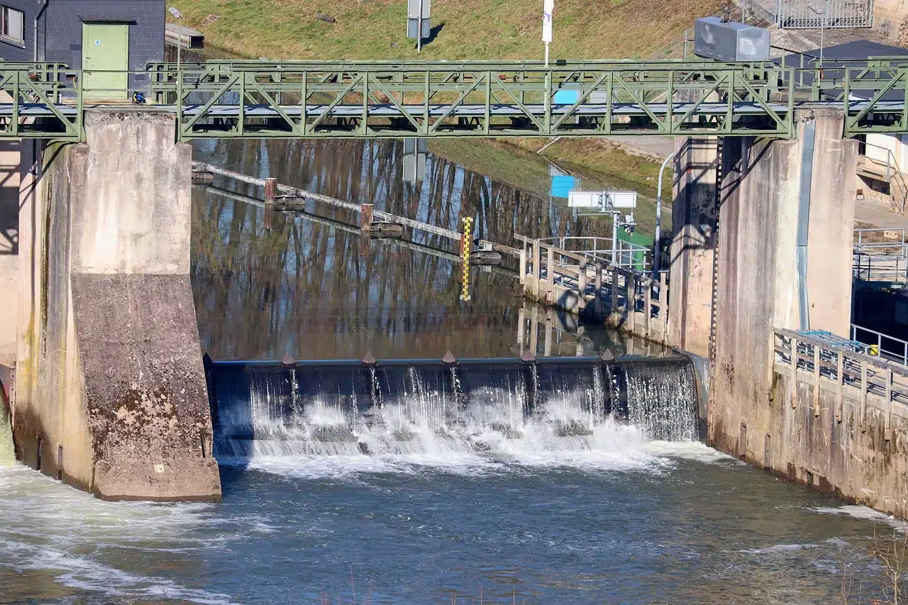 dream meaning Weir