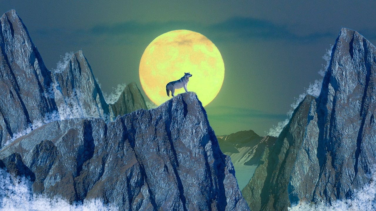 dream meaning Werewolf
