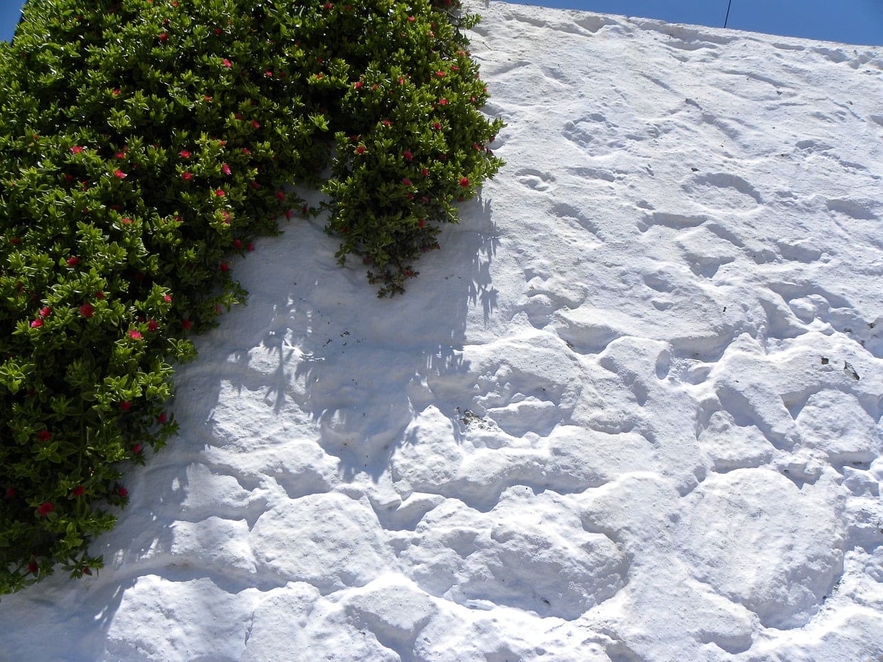 dream meaning Whitewash