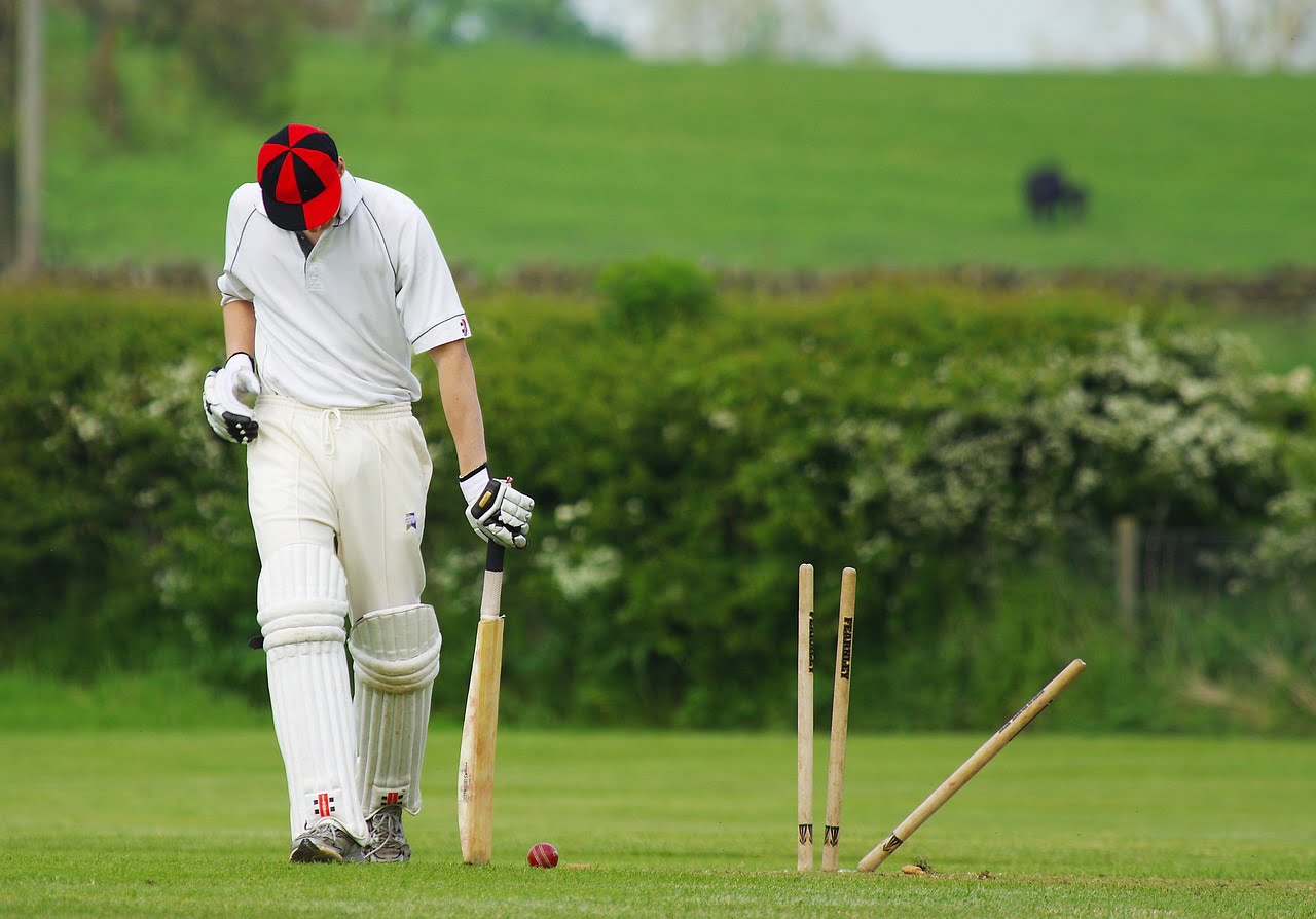 dream meaning Wicket