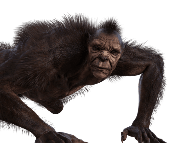 Wild beast Dream meaning