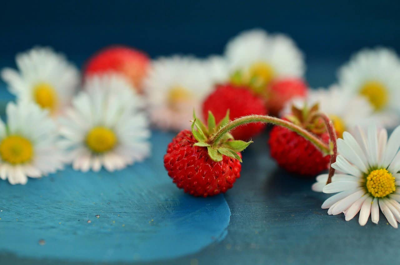 dream meaning Wild strawberries