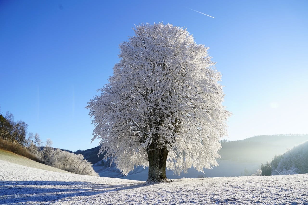 dream meaning Winter