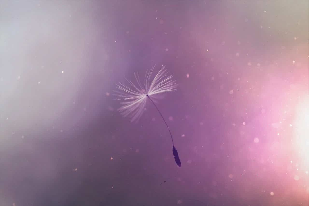 dream meaning Wishes