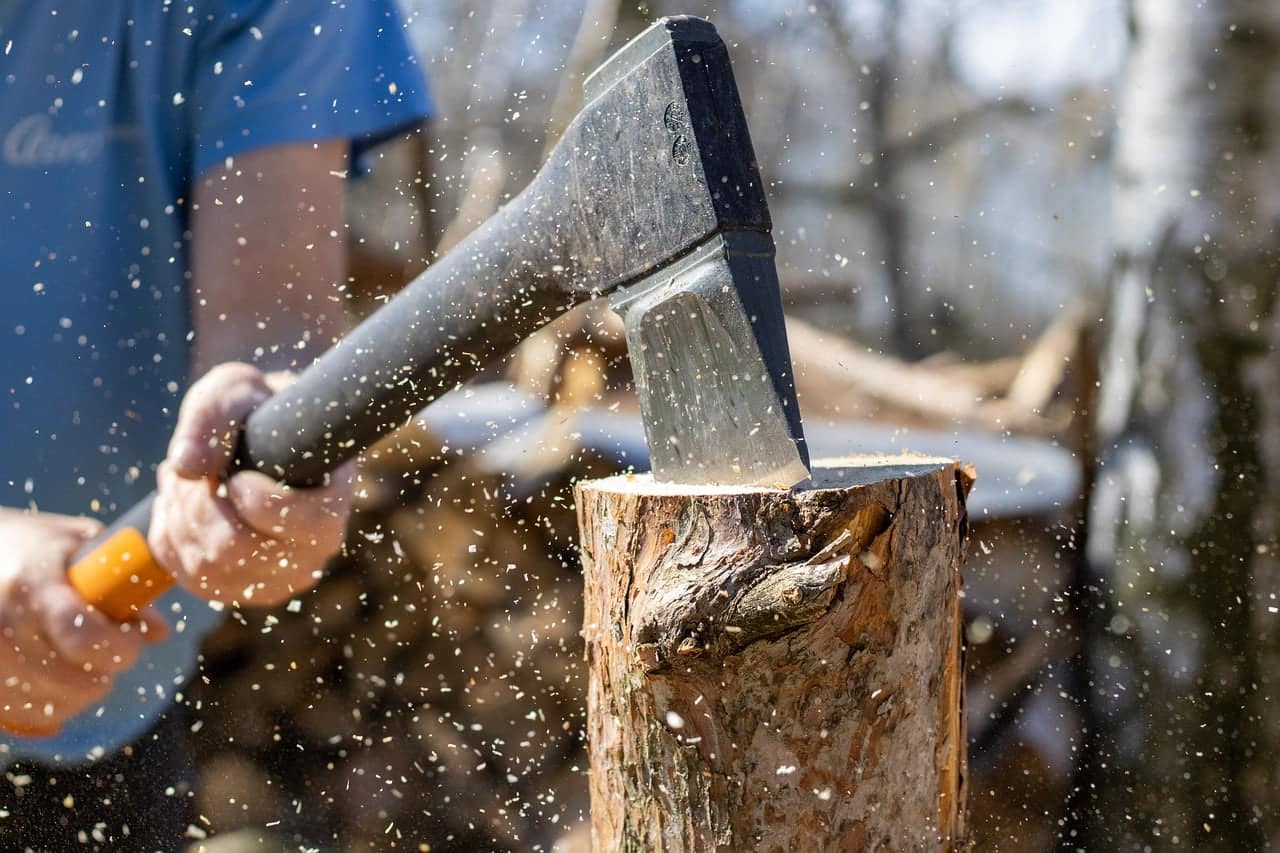 dream meaning Woodcutter