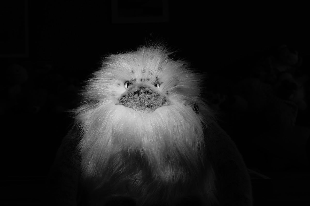 dream meaning Yeti