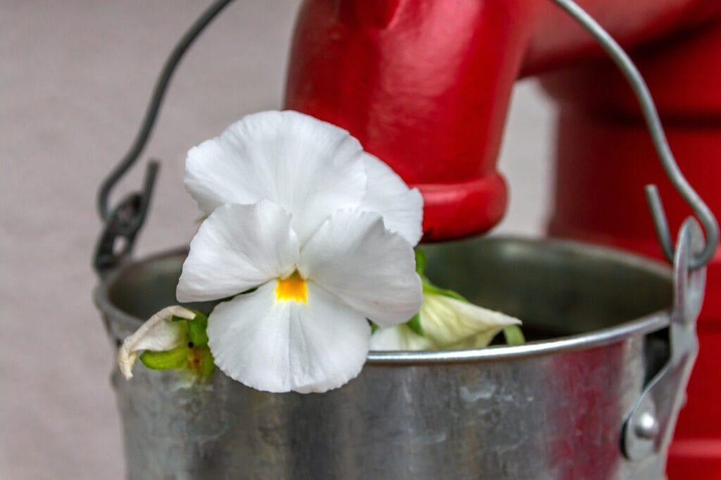 Zinc Dream meaning Dream Dictionary