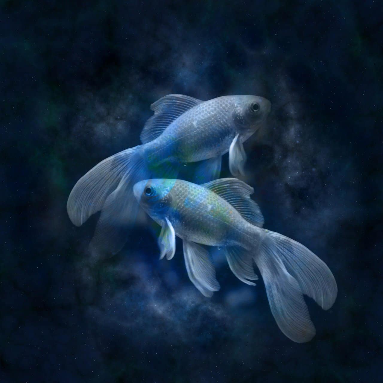 dream meaning Zodiac