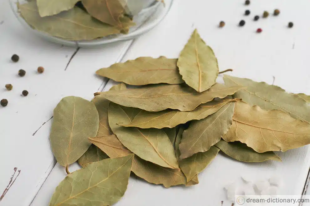 dream meaning Bay leaf