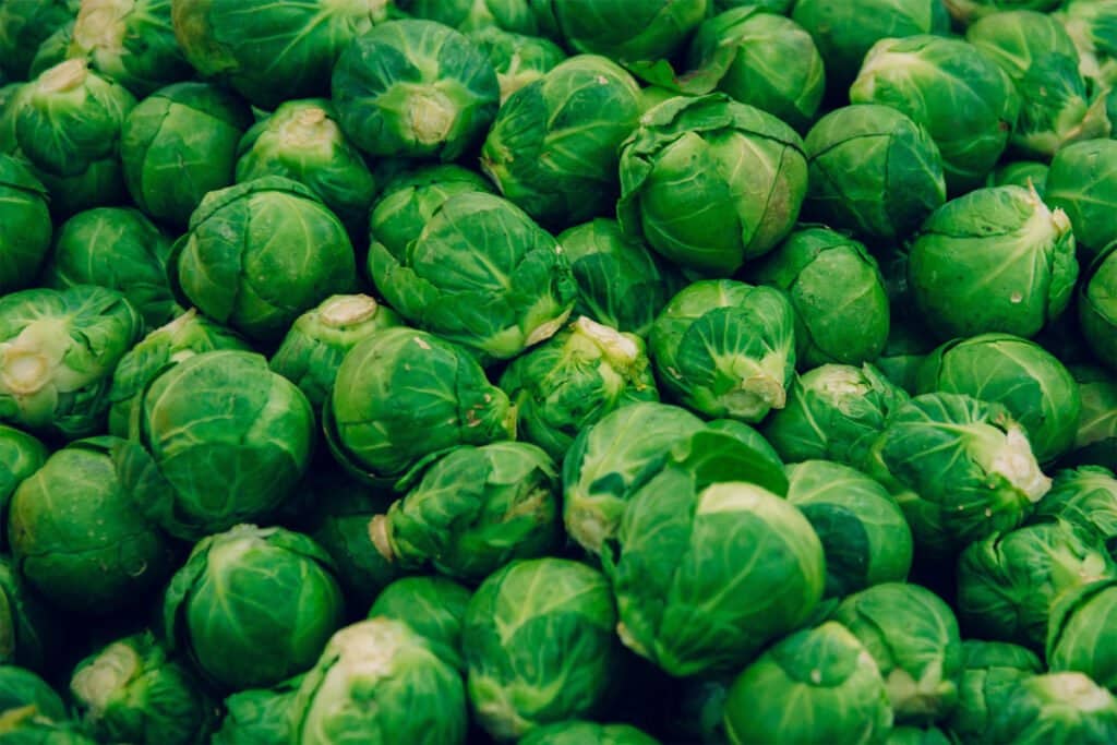 Brussels Sprout