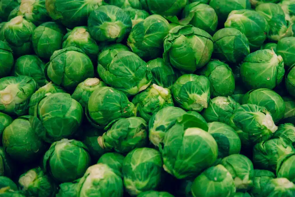 Brussels sprout 5 Brussels Sprout