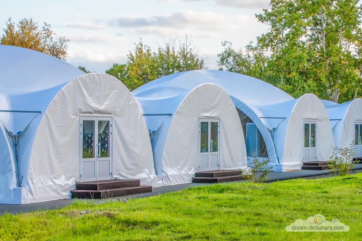 Canopy Dream meaning