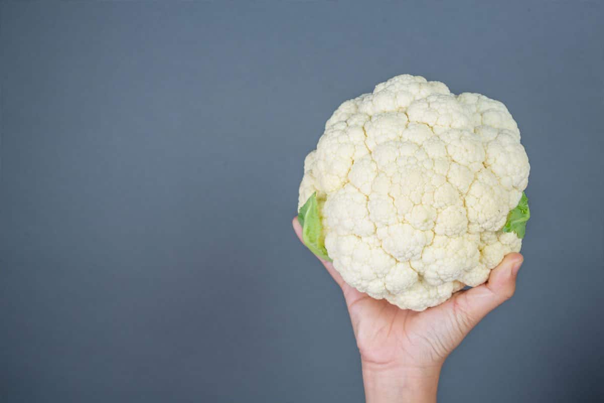 Cauliflower Dream meaning