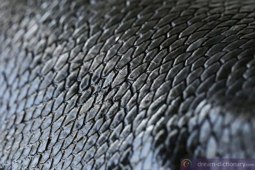Fish scales 4 dreaming about fisch scales