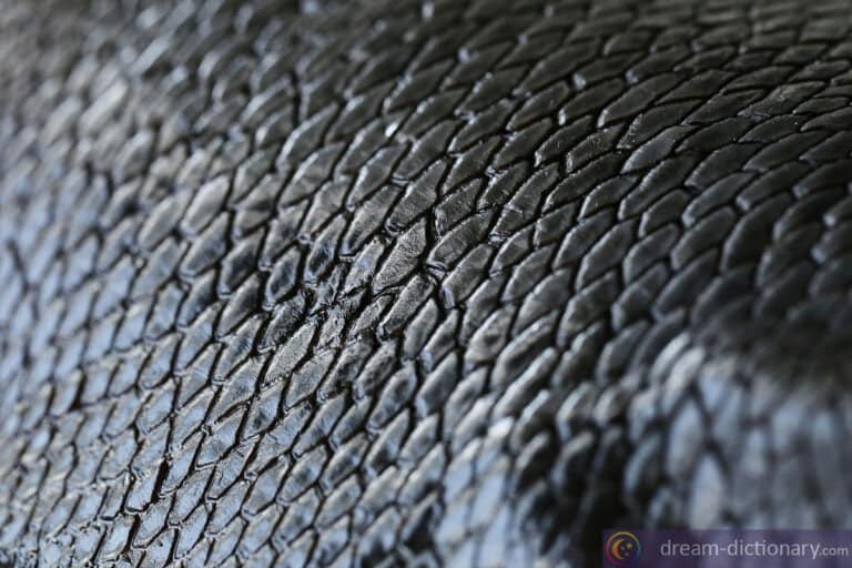 Fish scales Dream meaning